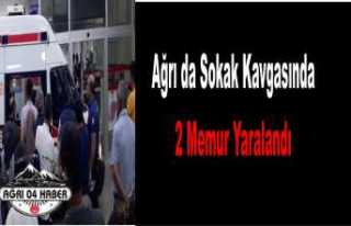 Ağrı da Sokak Kavgası 2 Yaralı