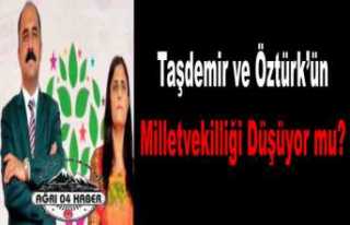 HDP Ağrı Milletvekillerine Fezleke Düzenlendi