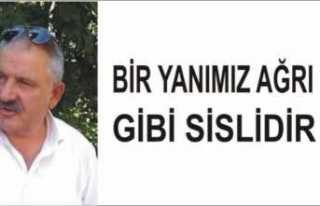 BİR YANIMIZ AĞRI GİBİ SİSLİDİR