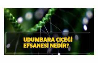 Udumbara Çiçeği Nedir ,Udumbara Efsanesi