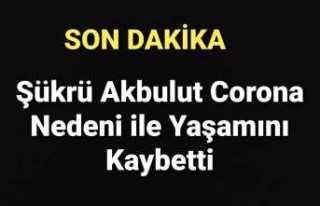 Ağrı Corona Mezarlığına Döndü