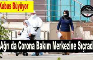 Ağrı da Bir Kurumda 18 Corona Vakası