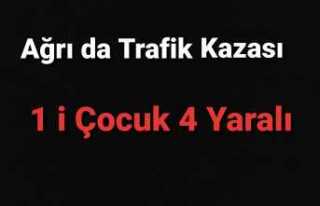 Ağrı da Feci Kaza