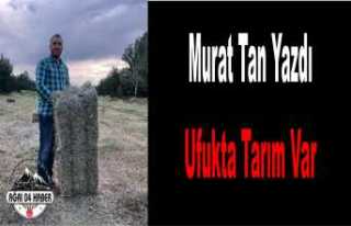 UFUKTA TARIM VAR