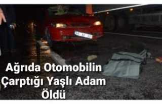 Ağrı da Otomobilin Çarptığı Yaşlı Adam Öldü