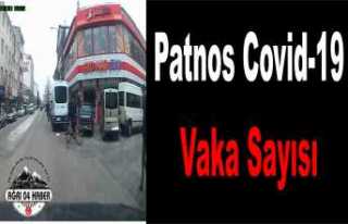 Patnos'ta Covid-19 Vaka Sayıları