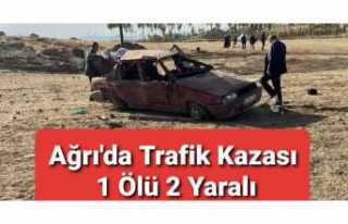 Ağrı'da Trafik Kazası 1 Ölü 2 Yaralı