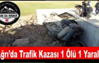 Ağrı'da Ölümlü Trafik Kazası
