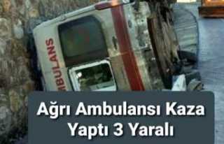 Ağrı Ambulansı Dönüş Yolunda Kaza Yaptı 3 Yaralı