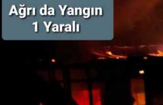 Ağrı da Yangın Küle Dönen Evde Bir Kişi Yaralı...