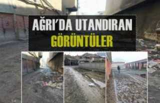 Ağrı'dan Utandıran Görüntüler