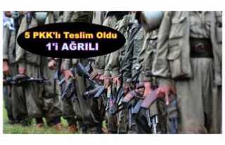 1'i Ağrılı 5 PKK'lı Teslim Oldu