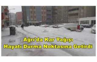 Ağrı'da Kar Yağışı Hayatı Durma Noktasına...