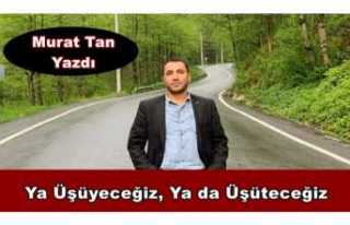 Ya Üşüyeceğiz, Ya da Üşüteceğiz