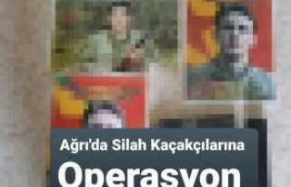 Ağrı'da Silah Kaçakçılığı Operasyonu...