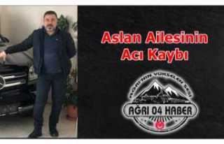 Aslan Ailesinin Acı Kaybı