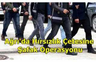 Ağrı'da Hırsızlık Çetesine Şafak Operasyonu