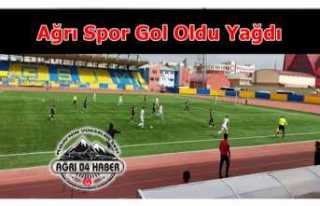 Ağrı Spor Ceyhan deplasmanında gol yağdırdı