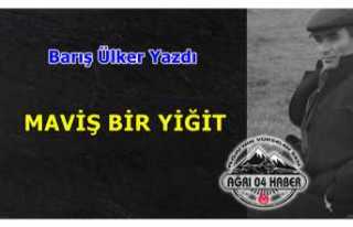 MAVİŞ BİR YİĞİT