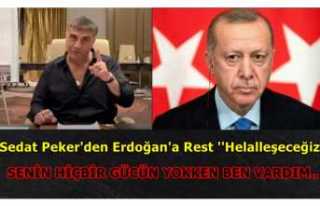 Peker, Erdoğan'a Seslendi ''Sen Yokken...