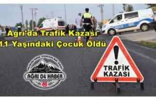 Ağrı'da Trafik Kazası Bir Çocuk Hayatını...