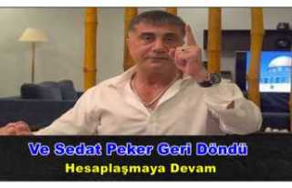 Sedat Peker Geri Döndü '' Gereğini yapmayanlarla...