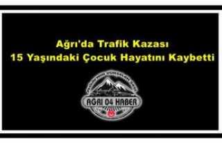 Ağrı'da Trafik Kazası 1 Ölü