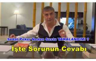 Sedat Peker Neden Sustu,Yakalandımı