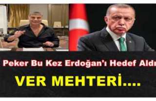Peker'in Hedefi Erdoğan ''Ver Mehteri''