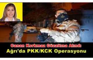 Ağrı'da PKK/KCK Operasyonu