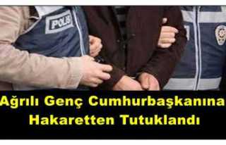 Ağrılı genç Cumhurbaşkanına hakaretten tutuklandı