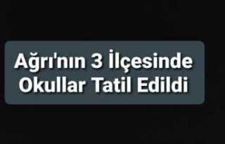 Ağrı'nın 3 İlçesinde Okullar Tatil Edildi