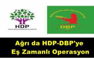 Ağrı'da HDP-DBP ye eş zamanlı şafak operasyonu...