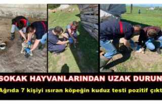 DİKKAT !!! Ağrıda 7 kişiyi ısıran köpeğin...