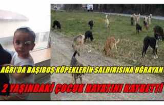 Ağrı'da Köpeklerin Saldırısına Uğrayan2...