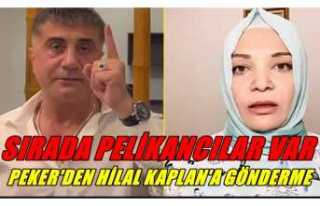 Sedat Peker Pelikan'a Sardı ,Sırada Hilal Kaplan...