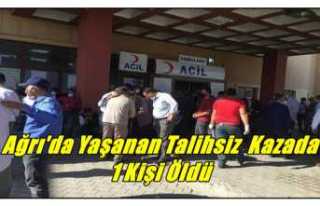 Ağrı'da Yaşanan Talihsiz Kazada 18 Yaşındaki...