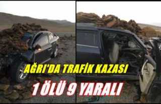 Ağrı’da trafik kazası;  1ölü, 9 yaralı