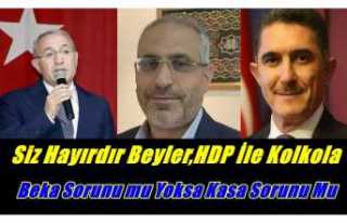 Ağrı'da Şantiye Kapatan Ak Parti HDP İttifakı...