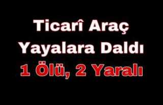 Ağrı'da Ticari Araç Yayalara Daldı 1 Ölü,2...