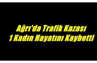 Ağrı'da yaşanan trafik kazasında bir kadın...