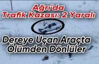 Ağrıda Trafik Kazası 2 Yaralı