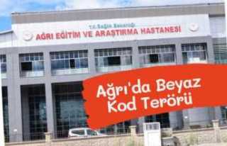 Ağrı'da Beyaz Kod Terörü