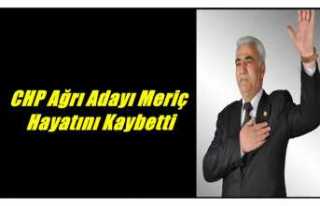 Ahmet Meriç Hayatını Kaybetti