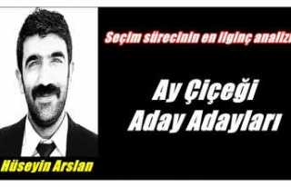 Ay çiçeği aday adayları