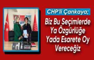 CHP Ağrı Kadın Kolları Başkanı Çankaya ''Biz...