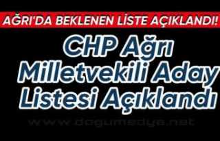 CHP Ağrı Milletvekili Adayları Tam Liste