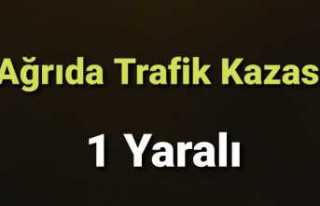 Ağrıda Trafik Kazası 1 Yaralı