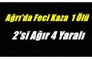 Ağrı'da feci kaza 1 Ölü 2'si ağır...