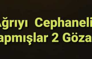 Ağrıyı Cephaneliğe Dönüştürmüşler